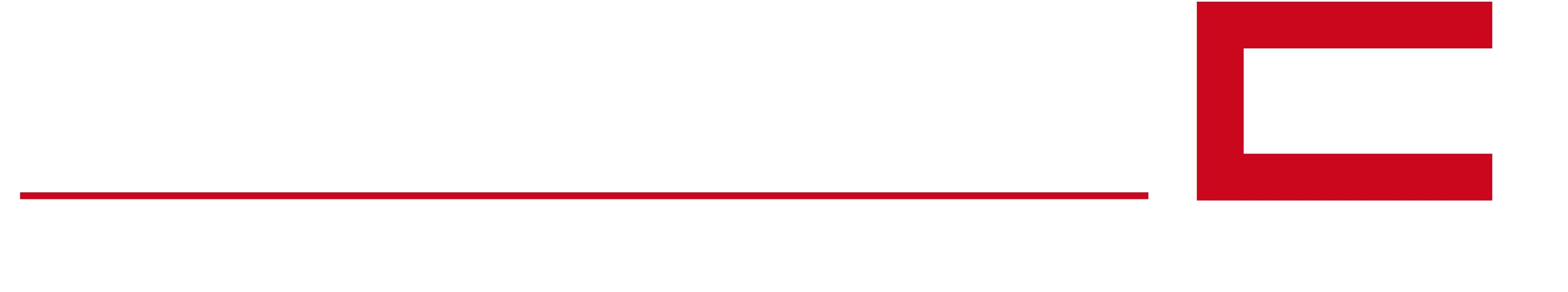 Panter Logo